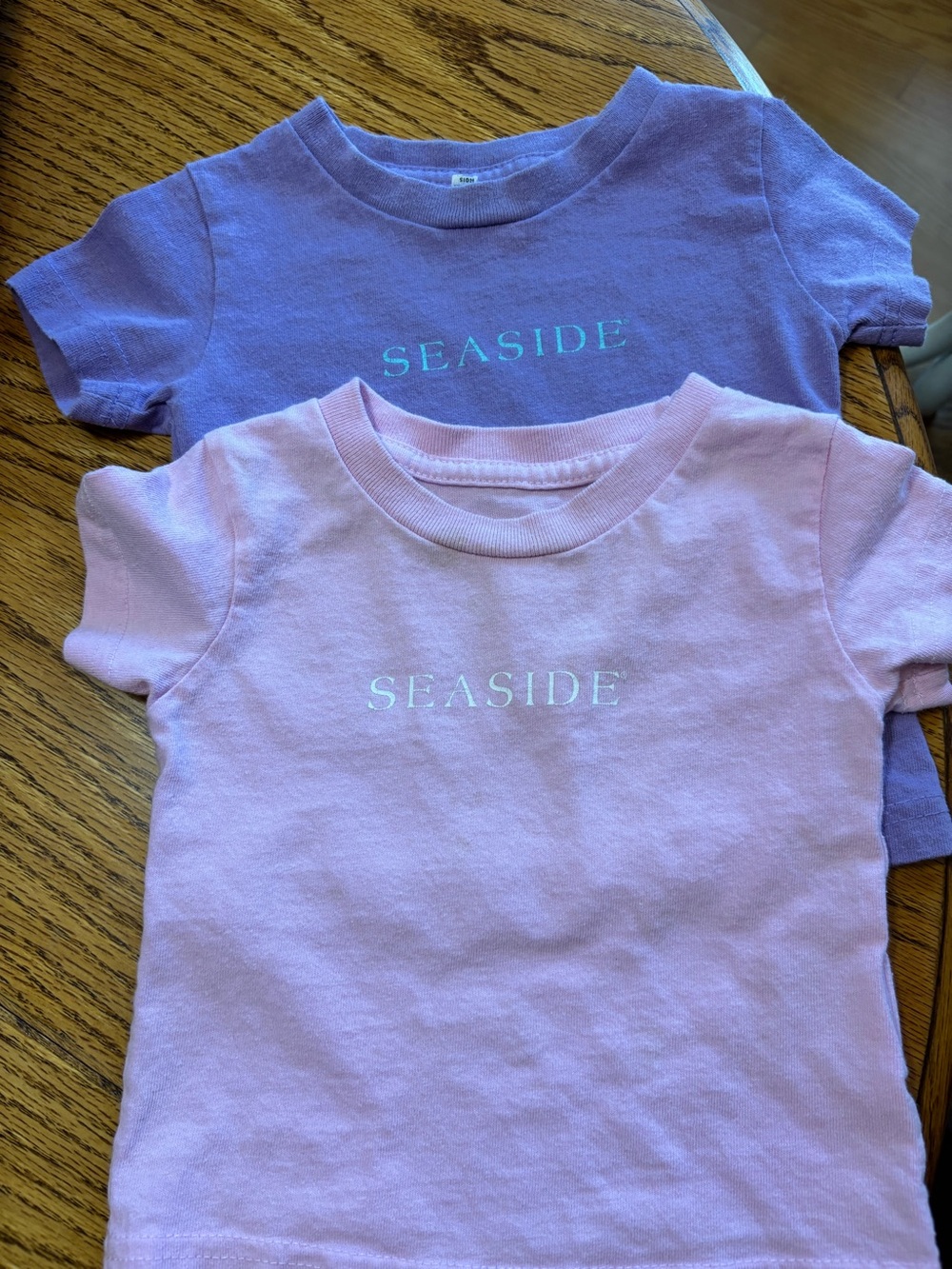 2 Seaside tees size 12-18 month pink and purple